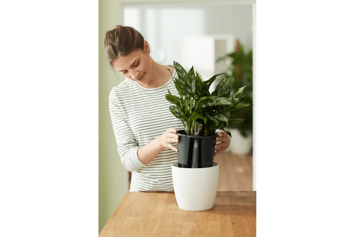 Självvattnande kruka, Ø24 cm - Bild 7